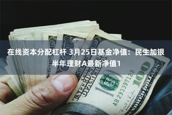 在线资本分配杠杆 3月25日基金净值：民生加银半年理财A最新净值1