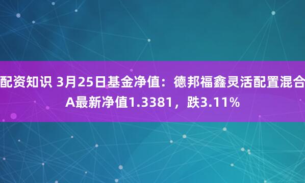 配资知识 3月25日基金净值：德邦福鑫灵活配置混合A最新净值1.3381，跌3.11%