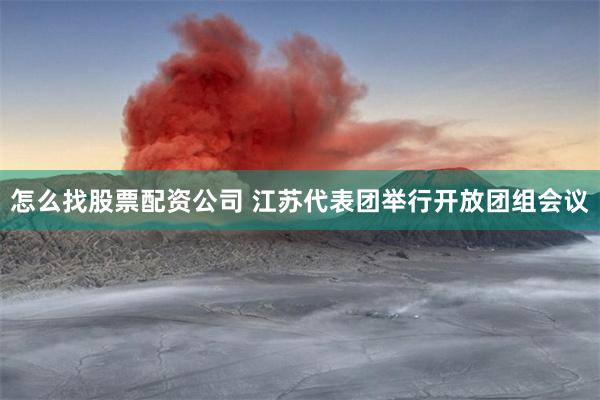 怎么找股票配资公司 江苏代表团举行开放团组会议