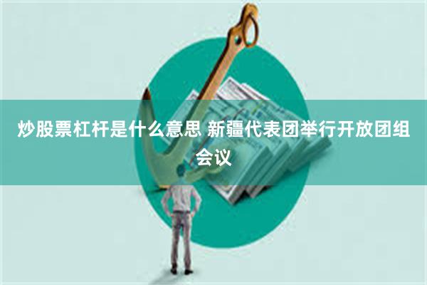 炒股票杠杆是什么意思 新疆代表团举行开放团组会议