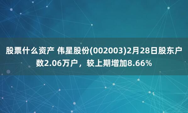 股票什么资产 伟星股份(002003)2月28日股东户数2.06万户，较上期增加8.66%