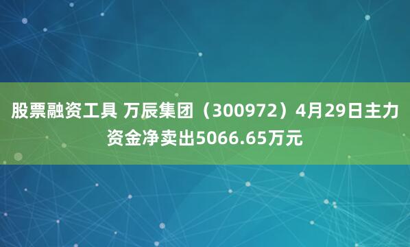 股票融资工具 万辰集团（300972）4月29日主力资金净卖出5066.65万元