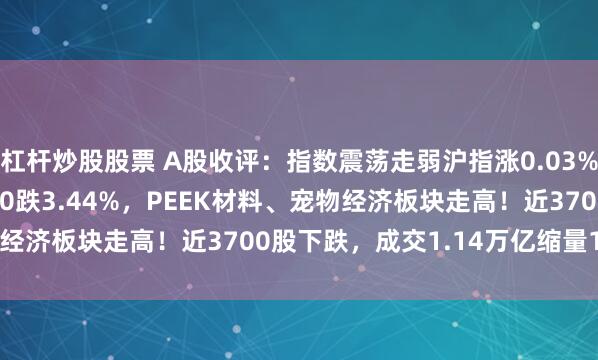 杠杆炒股股票 A股收评：指数震荡走弱沪指涨0.03%，创指跌0.68%北证50跌3.44%，PEEK材料、宠物经济板块走高！近3700股下跌，成交1.14万亿缩量1235亿