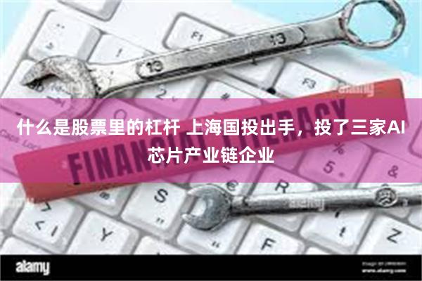什么是股票里的杠杆 上海国投出手，投了三家AI芯片产业链企业
