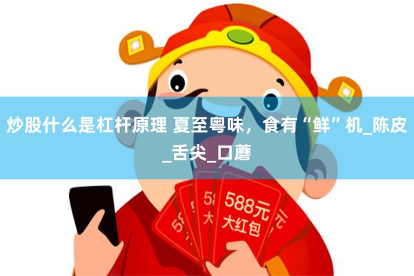 炒股什么是杠杆原理 夏至粤味，食有“鲜”机_陈皮_舌尖_口蘑