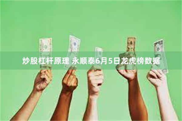炒股杠杆原理 永顺泰6月5日龙虎榜数据