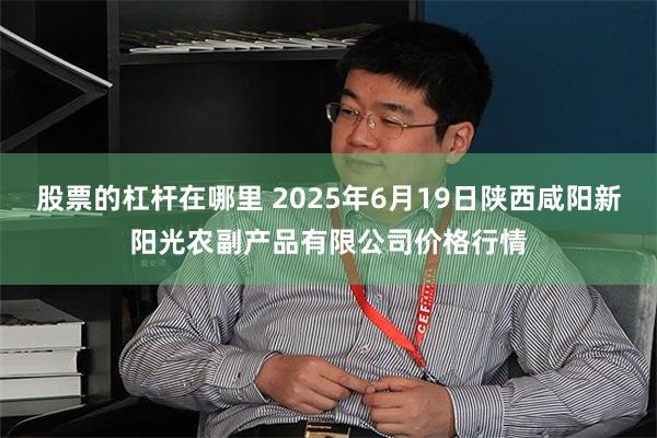 股票的杠杆在哪里 2025年6月19日陕西咸阳新阳光农副产品有限公司价格行情