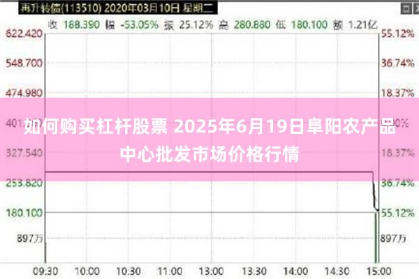如何购买杠杆股票 2025年6月19日阜阳农产品中心批发市场价格行情