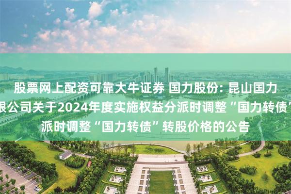 股票网上配资可靠大牛证券 国力股份: 昆山国力电子科技股份有限公司关于2024年度实施权益分派时调整“国力转债”转股价格的公告