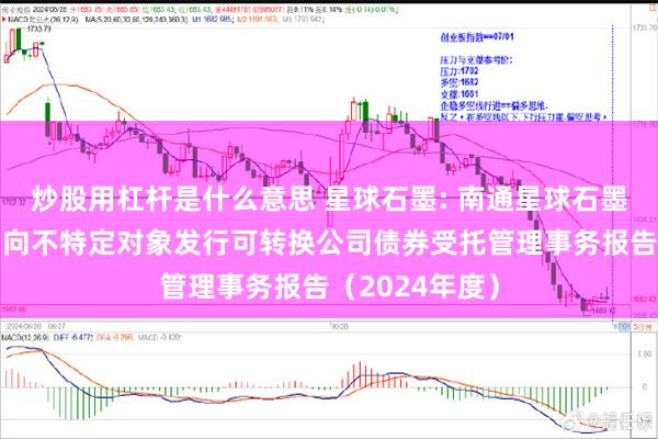 炒股用杠杆是什么意思 星球石墨: 南通星球石墨股份有限公司向不特定对象发行可转换公司债券受托管理事务报告（2024年度）