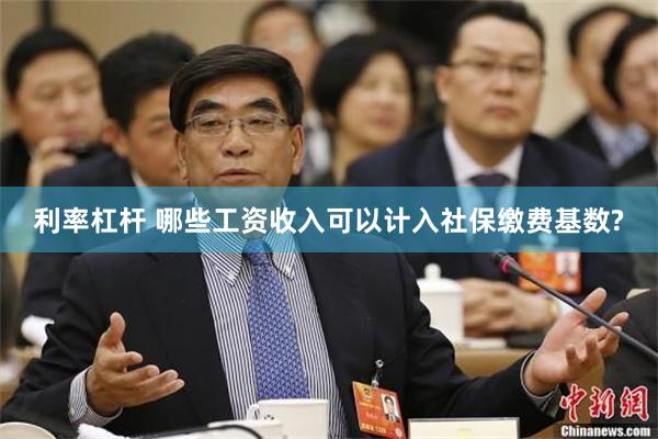 利率杠杆 哪些工资收入可以计入社保缴费基数?