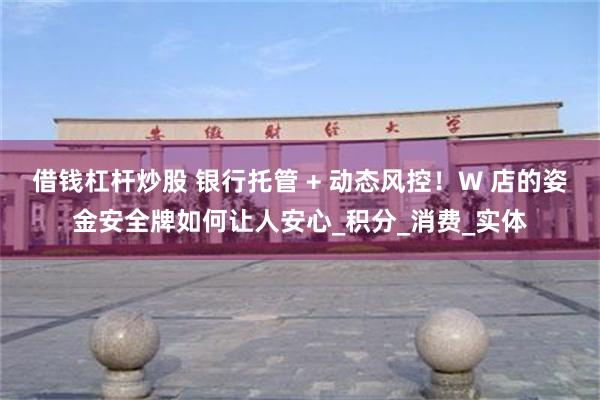 借钱杠杆炒股 银行托管 + 动态风控！W 店的姿金安全牌如何让人安心_积分_消费_实体