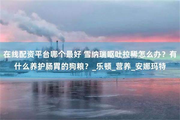 在线配资平台哪个最好 雪纳瑞呕吐拉稀怎么办？有什么养护肠胃的狗粮？_乐顿_营养_安娜玛特