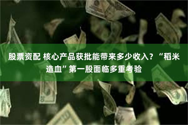 股票资配 核心产品获批能带来多少收入？“稻米造血”第一股面临多重考验