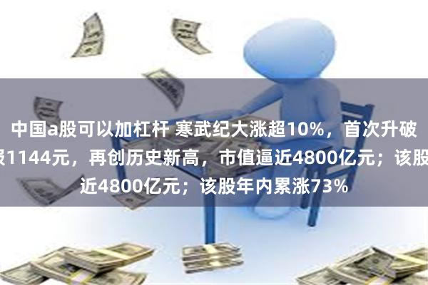 中国a股可以加杠杆 寒武纪大涨超10%，首次升破1100元大关报1144元，再创历史新高，市值逼近4800亿元；该股年内累涨73%