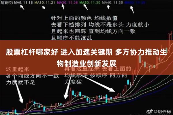 股票杠杆哪家好 进入加速关键期 多方协力推动生物制造业创新发展